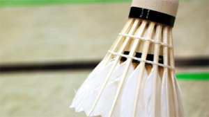 Badminton SV Fischbach verbandsrangliste